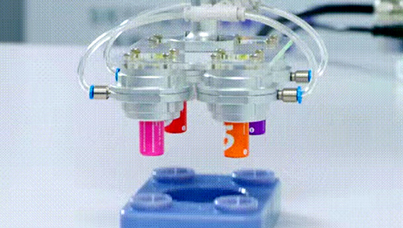 b3ed9d84-c16b-408f-8193-d276b2b1e006.jpg b3ed9d84-c16b-408f-8193-d276b2b1e006.jpg