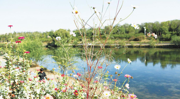 image001.jpg image001.jpg