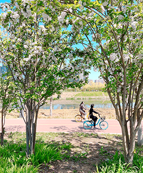 33a1c92c-a9c4-4e08-81b8-1eec0aa3b188.jpg 33a1c92c-a9c4-4e08-81b8-1eec0aa3b188.jpg