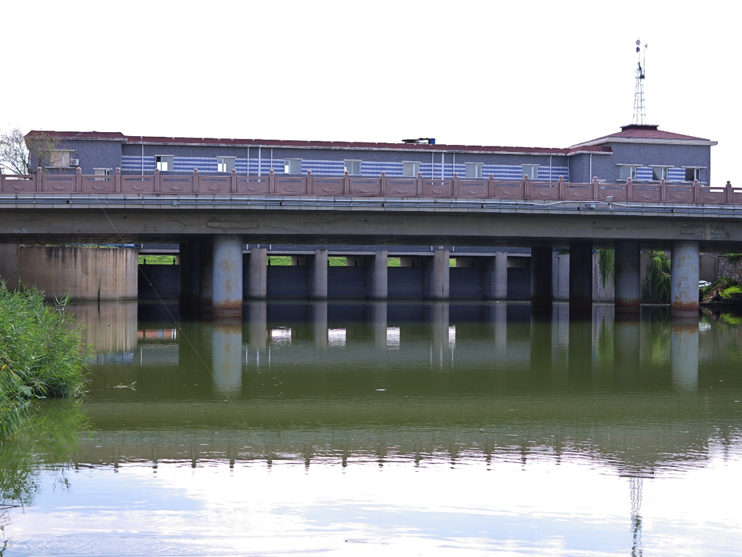 会呼吸的城市之湖泊:一片湖水的使命.png 会呼吸的城市之湖泊:一片湖水的使命.png