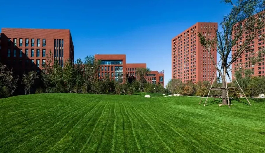 新添114家！北京经开区“专精特新”企业规模再创新高.webp (1).jpg