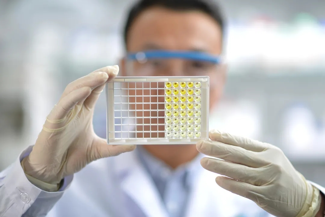 “包干制”试点来了!北京经开区科技创新发展迎来新“干劲”!.webp (2).jpg “包干制”试点来了!北京经开区科技创新发展迎来新“干劲”!.webp (2).jpg