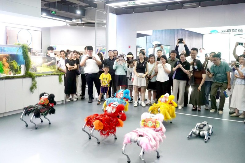 精准定制服务 高效助企发展.JPG