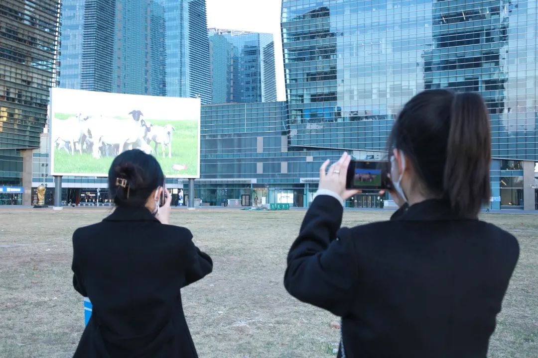 “新”对接,心帮扶!2.jpg “新”对接,心帮扶!2.jpg