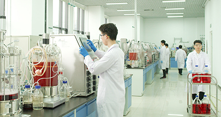 08696941-04df-42fb-bc09-e50239eecade.jpg 08696941-04df-42fb-bc09-e50239eecade.jpg