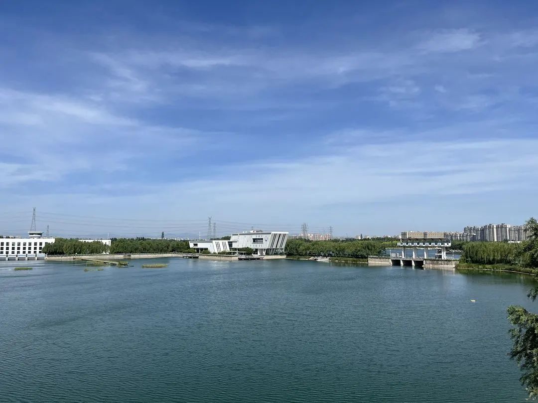 生态好、环境优!桃花水母为经开区水质“代言”.jpg 生态好、环境优!桃花水母为经开区水质“代言”.jpg