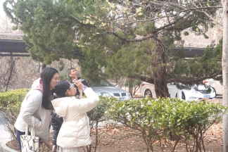 自然笔记活动带领亲子家庭记录蜡梅.jpg 自然笔记活动带领亲子家庭记录蜡梅.jpg