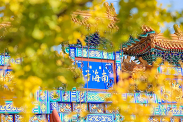 4月19日跟随亦庄半马赏最美一道三园.jpg 4月19日跟随亦庄半马赏最美一道三园.jpg