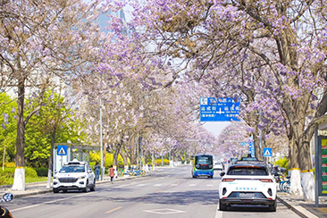 4月19日跟随亦庄半马赏最美一道三园2.jpg 4月19日跟随亦庄半马赏最美一道三园2.jpg