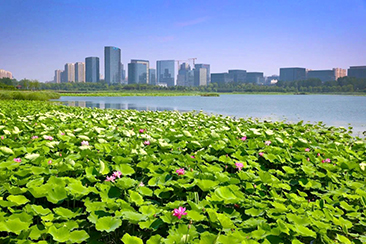 4月19日跟随亦庄半马赏最美一道三园4.jpg 4月19日跟随亦庄半马赏最美一道三园4.jpg