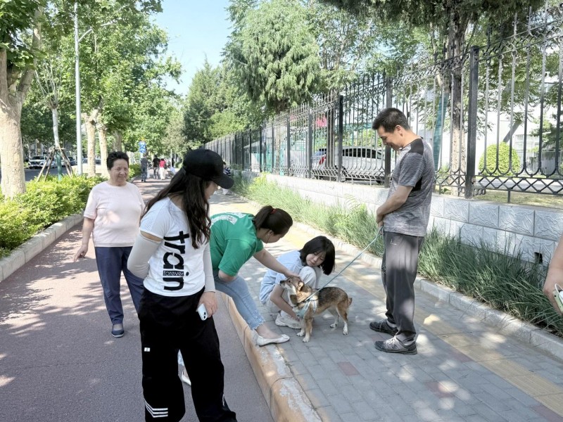 经开区2025高考首日全景纪实 (1).JPG