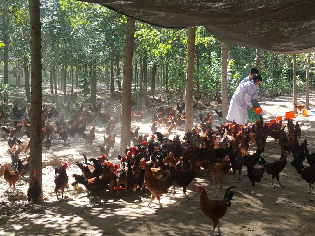 来自北京经开区的他们,获得扶贫协作表彰! 640.webp (50).jpg