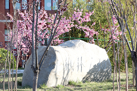 办好人民满意的经开区特色教育 让每一堂课都精彩 (5).jpg