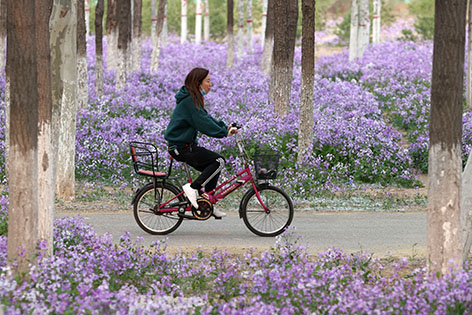 亦城公园 成市民周末休闲新宠.jpg 亦城公园 成市民周末休闲新宠.jpg
