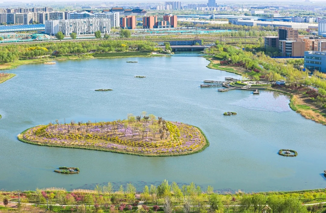 最美亦城四月天,看一万遍都不够!.webp.jpg 最美亦城四月天,看一万遍都不够!.webp.jpg