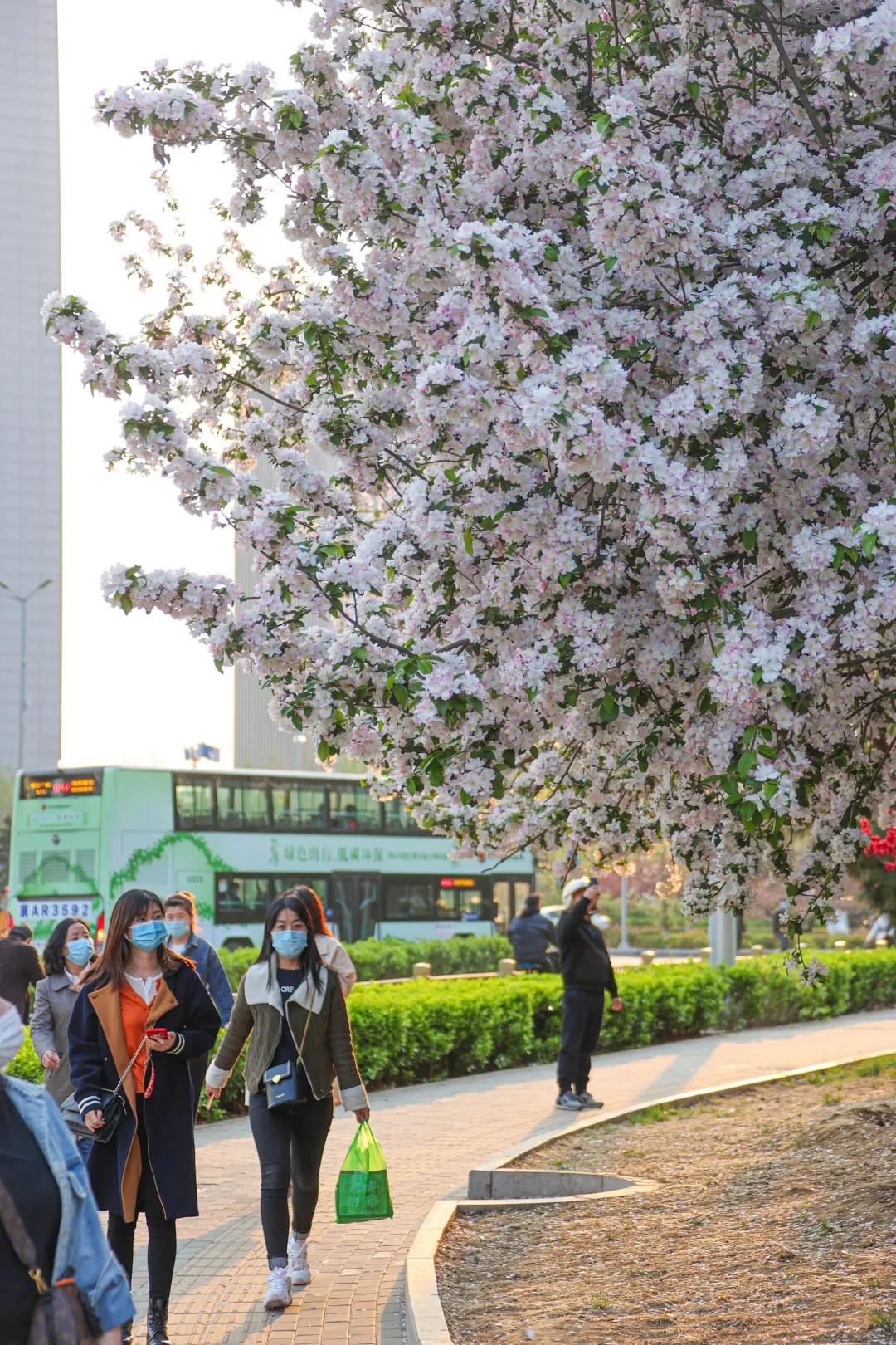 最美亦城四月天,看一万遍都不够!.webp (4).jpg