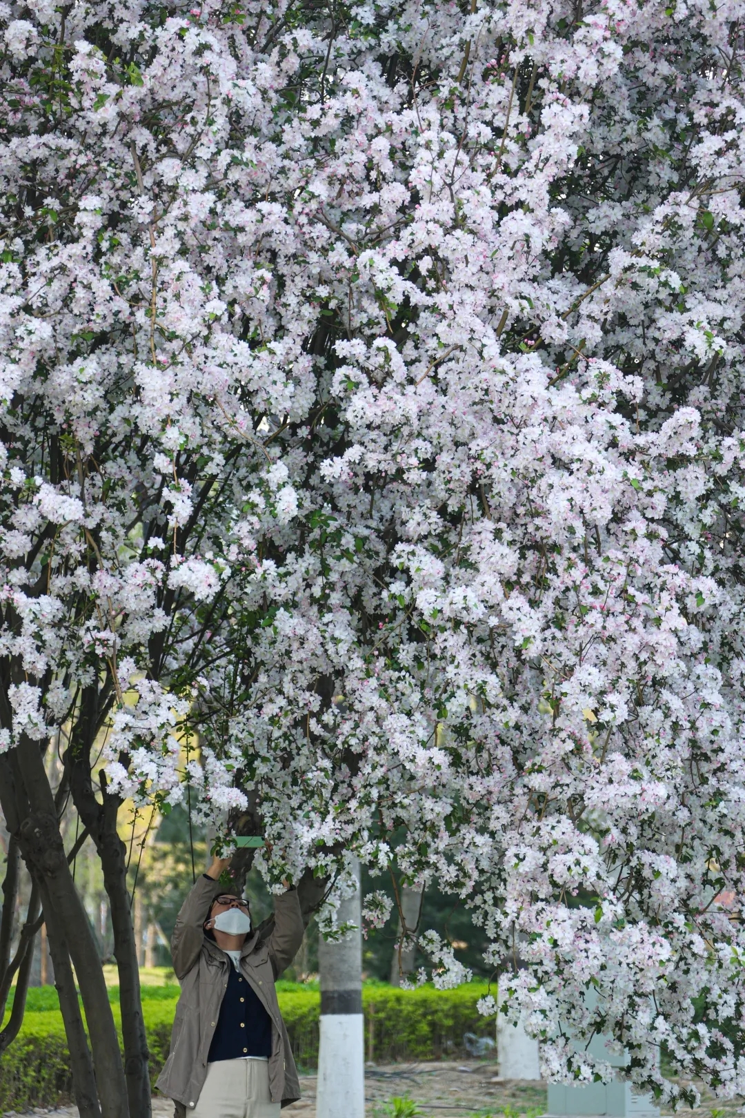 最美亦城四月天,看一万遍都不够!.webp (5).jpg