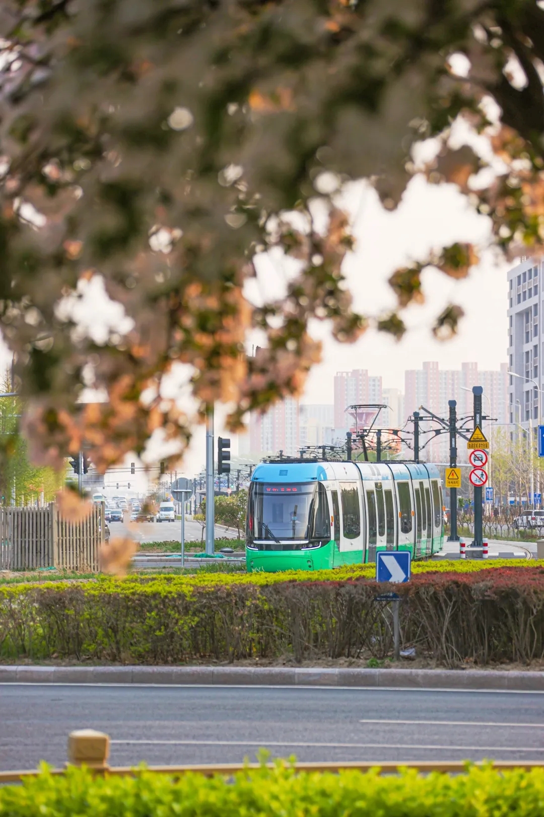 最美亦城四月天,看一万遍都不够!.webp (6).jpg