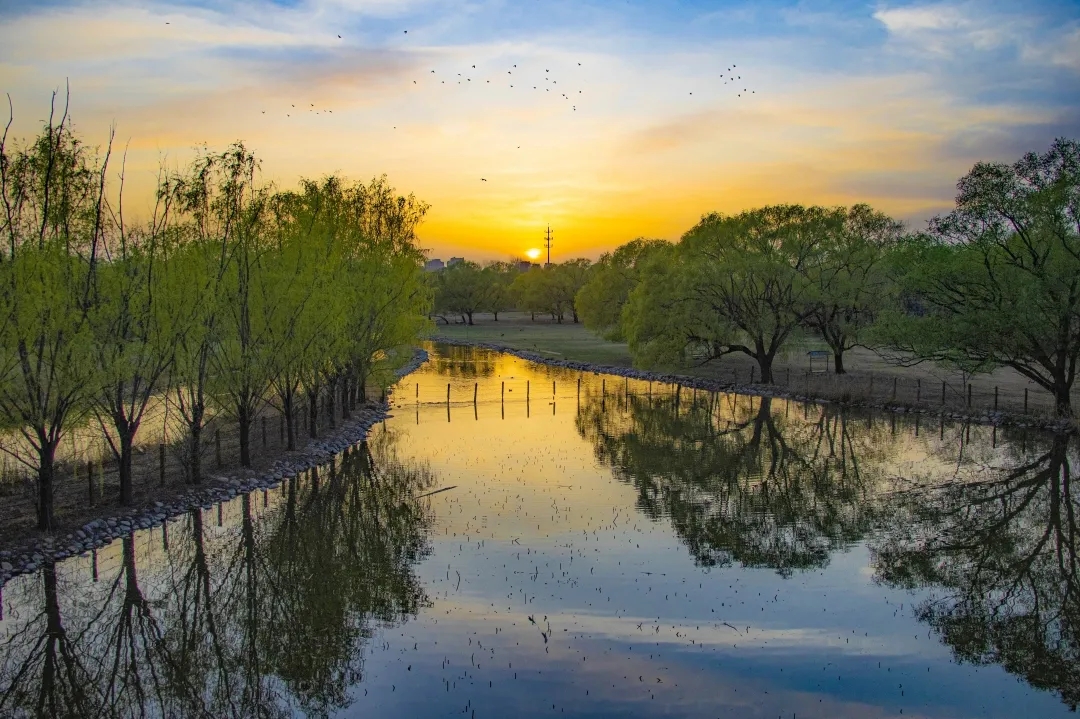 最美亦城四月天,看一万遍都不够!.webp (8).jpg 最美亦城四月天,看一万遍都不够!.webp (8).jpg