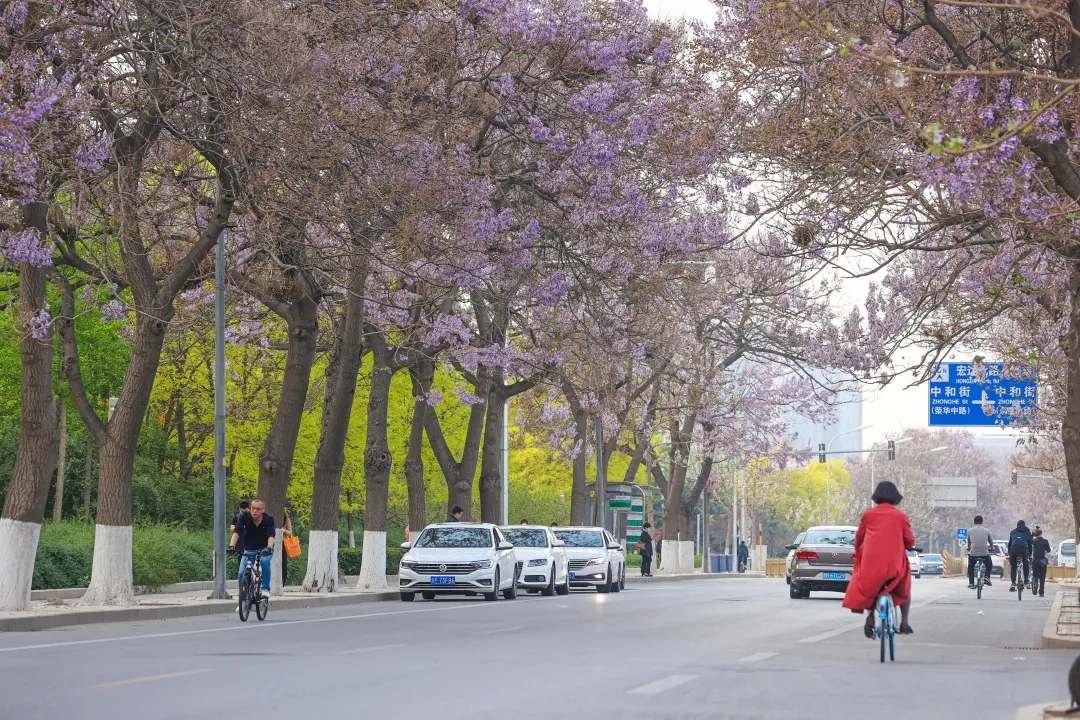 最美亦城四月天,看一万遍都不够!.webp (10).jpg 最美亦城四月天,看一万遍都不够!.webp (10).jpg