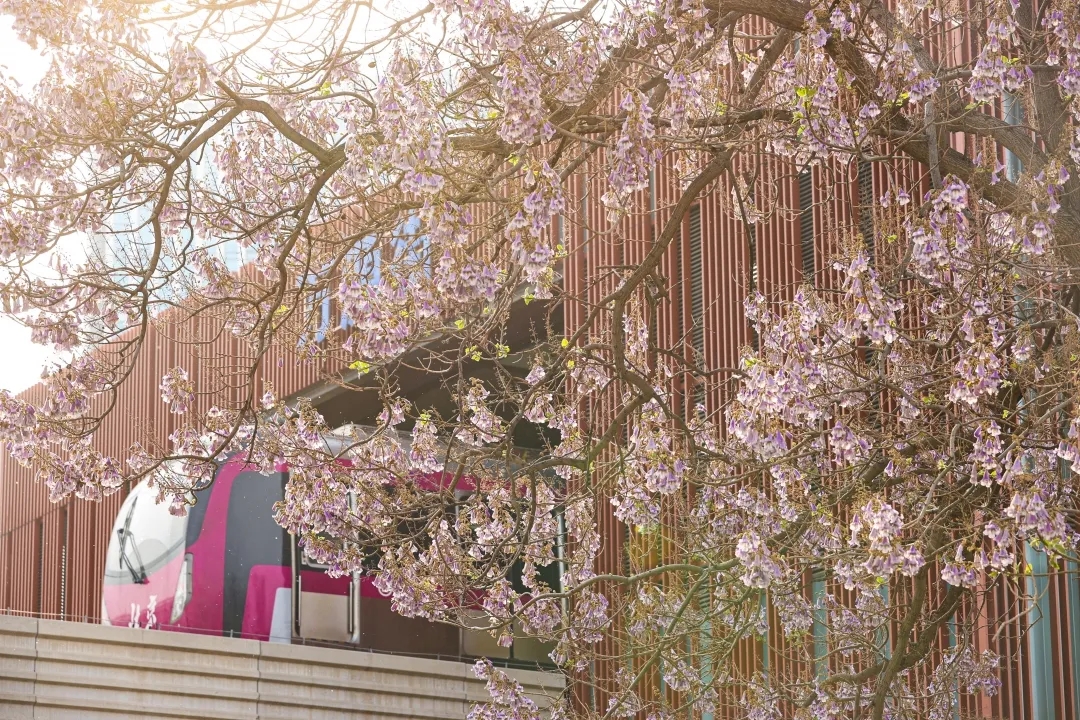 最美亦城四月天,看一万遍都不够!.webp (13).jpg 最美亦城四月天,看一万遍都不够!.webp (13).jpg