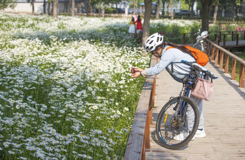 骑行花径，邂逅浪漫.jpg