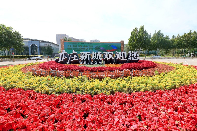 北京经开区国庆花坛盛装亮相 (1).JPG