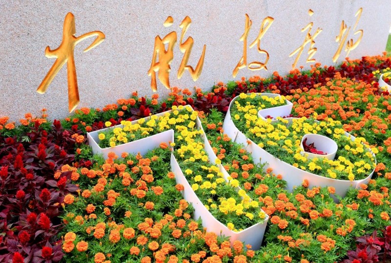 北京经开区国庆花坛盛装亮相 (4).JPG