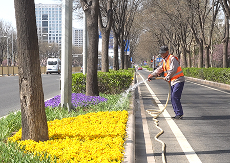 经开区全面推进春季绿化养护.jpg