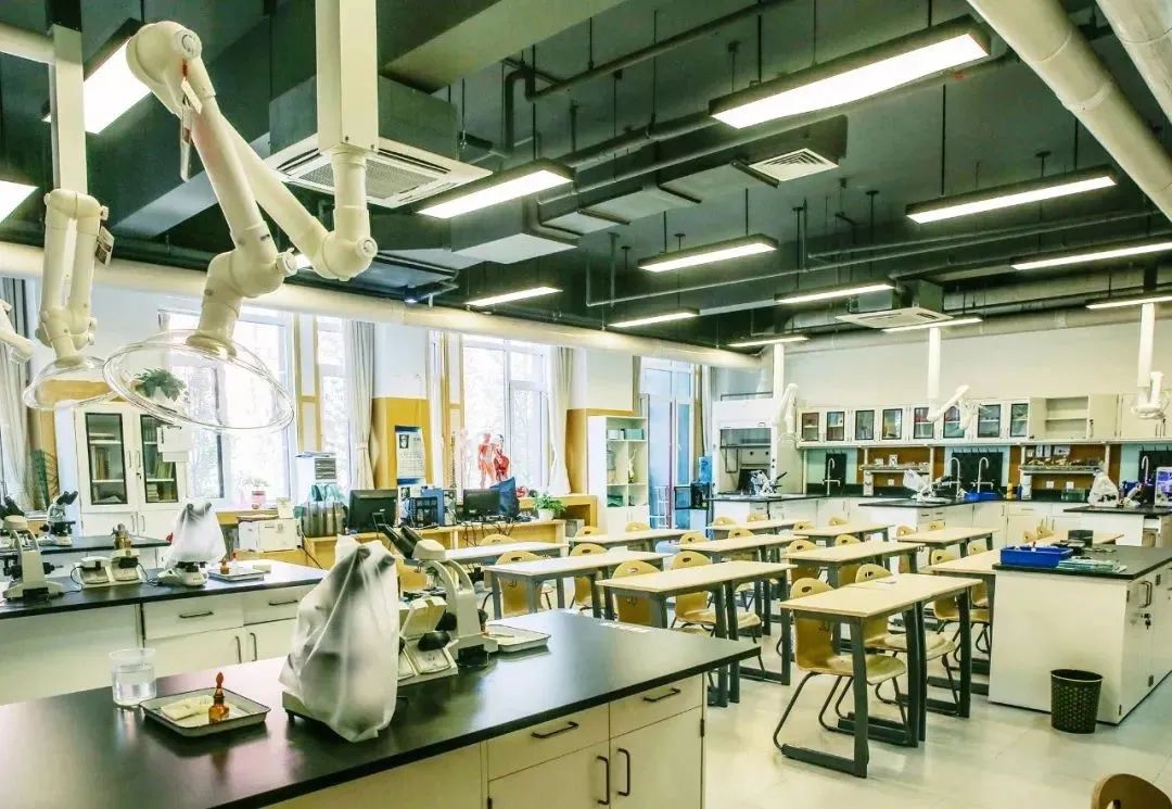 创新沃土培养创新人才,北京经开区这所学校13人斩获奥赛大奖4.jpg 创新沃土培养创新人才,北京经开区这所学校13人斩获奥赛大奖4.jpg