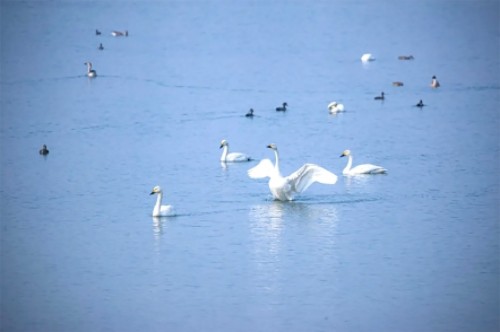 文商旅体持续上新 激情燃烧的2025！4.jpg