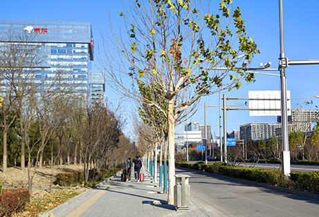 修缮近2万平方米 两条人行步道焕新.jpg