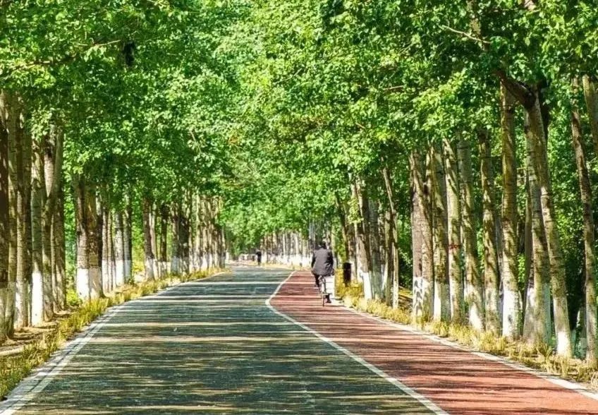 与您息息相关!北京2023年33件民生实事项目敲定,涉住房、学位等.jpg 与您息息相关!北京2023年33件民生实事项目敲定,涉住房、学位等.jpg