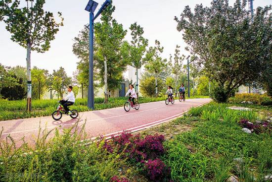 image008.jpg image008.jpg