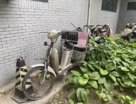 车辆照片 (3).jpg