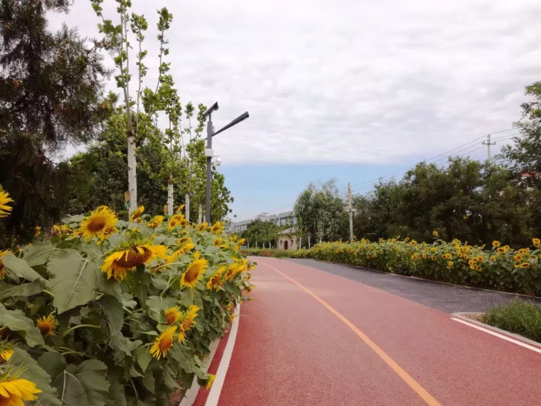 北京经开区基础设施建设五年来始终保持高水平.webp (1).jpg