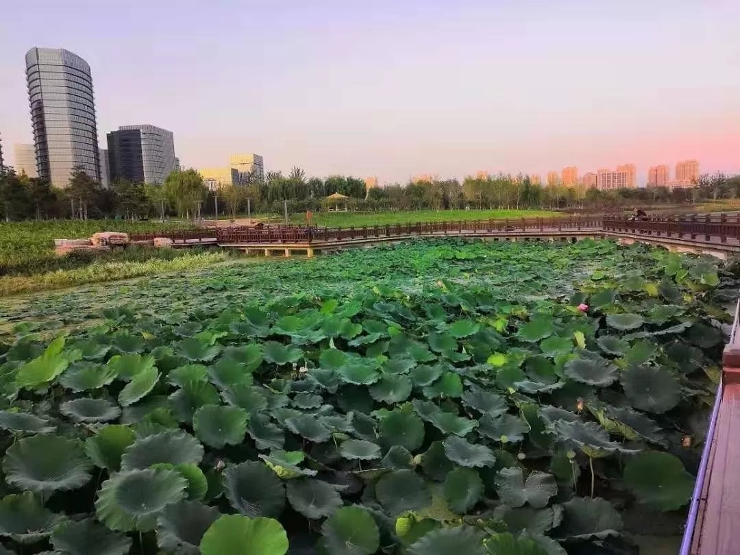 北京经开区基础设施建设五年来始终保持高水平.webp (2).jpg