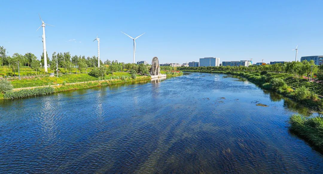 做好“水文章”,不止一周.jpg 做好“水文章”,不止一周.jpg