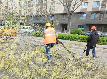 工作人员及时处置倒伏树木.jpg