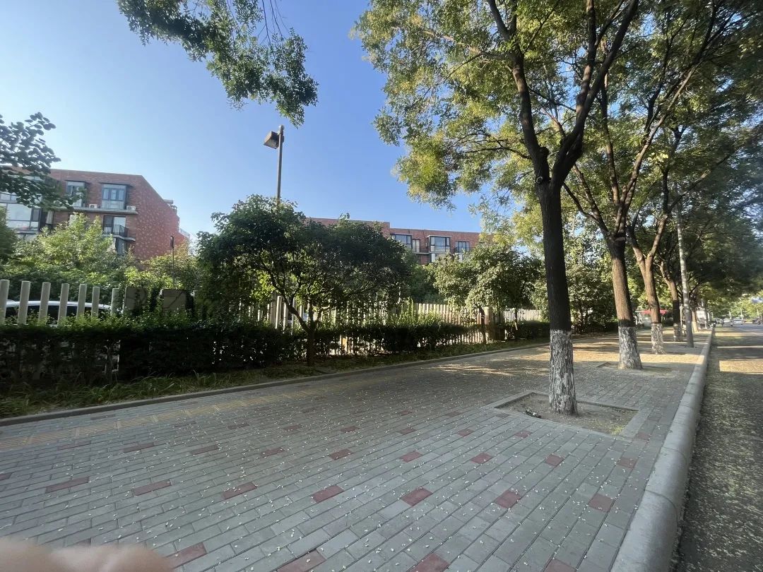 已完工上万平方米!经开区多条市政步道即将“焕新颜”3.jpg 已完工上万平方米!经开区多条市政步道即将“焕新颜”3.jpg