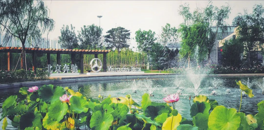 “花园工厂”将雨水变成绿色资源3.jpg “花园工厂”将雨水变成绿色资源3.jpg