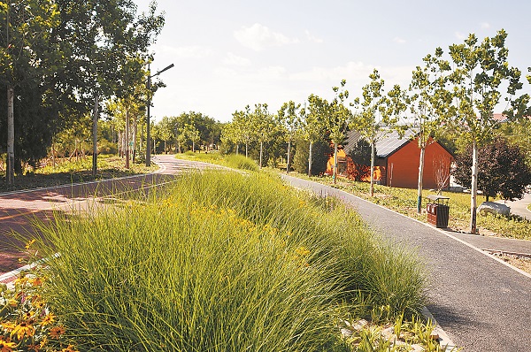 0907yz8-4 - 副本.jpg 0907yz8-4 - 副本.jpg