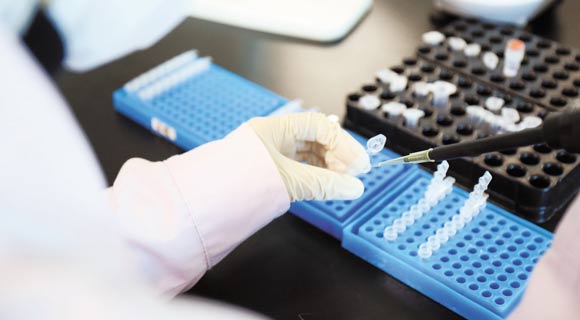 image001.jpg image001.jpg