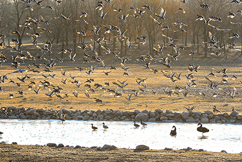 8e2e83f1-8fb8-487d-b683-c5a0b8a6b23b.jpg 8e2e83f1-8fb8-487d-b683-c5a0b8a6b23b.jpg