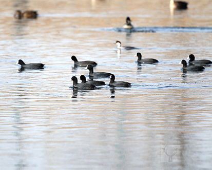 cc57b492-62f7-4e18-a041-7746f5fa519d.jpg cc57b492-62f7-4e18-a041-7746f5fa519d.jpg