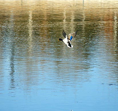 4f9d722e-2b31-4e57-8990-e8a5de3a4e0a.jpg 4f9d722e-2b31-4e57-8990-e8a5de3a4e0a.jpg