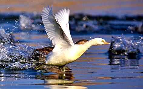 080377c3-6325-4228-9da5-3900aba6f3bf.jpg 080377c3-6325-4228-9da5-3900aba6f3bf.jpg