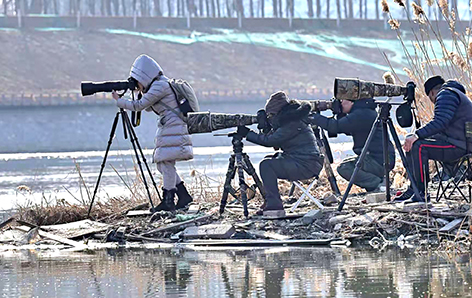 48a1161d-061a-458d-a5e0-aa56851f6c33.jpg 48a1161d-061a-458d-a5e0-aa56851f6c33.jpg