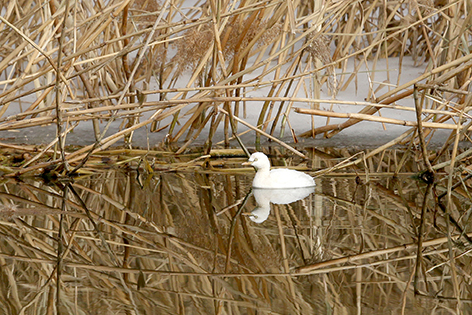 ae3520db-1bf8-44d4-9cf7-f48f5c47f7c2.jpg ae3520db-1bf8-44d4-9cf7-f48f5c47f7c2.jpg