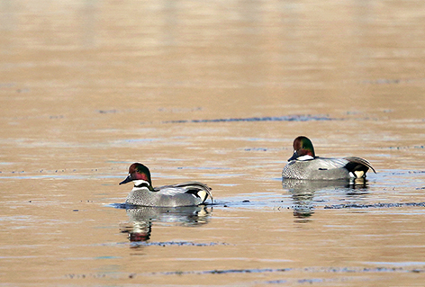 b7ba6417-3a60-4bf0-afcb-df805455142d.jpg b7ba6417-3a60-4bf0-afcb-df805455142d.jpg